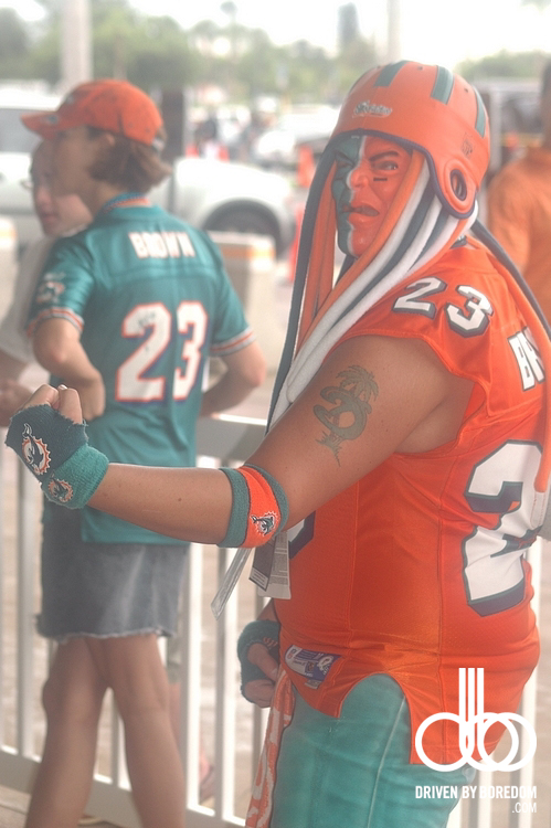 miami-dolphins-265.JPG