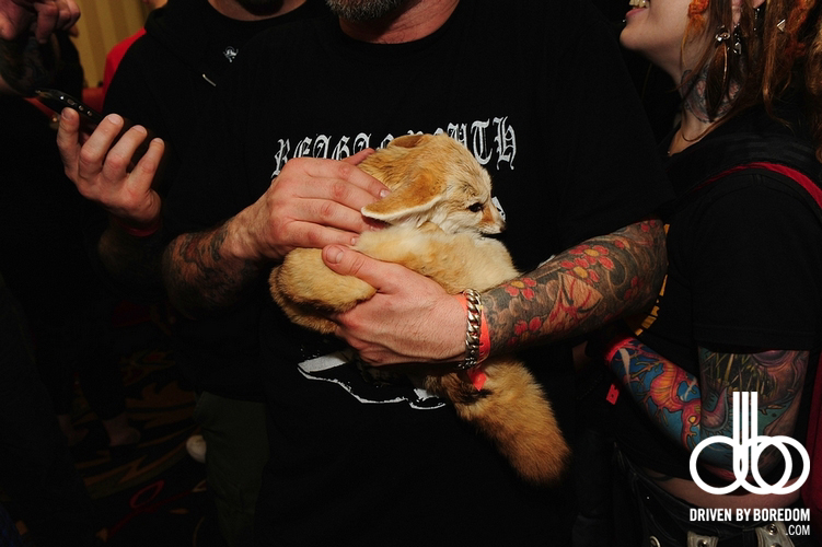 2011-philadelphia-tattoo-convention-1008.JPG