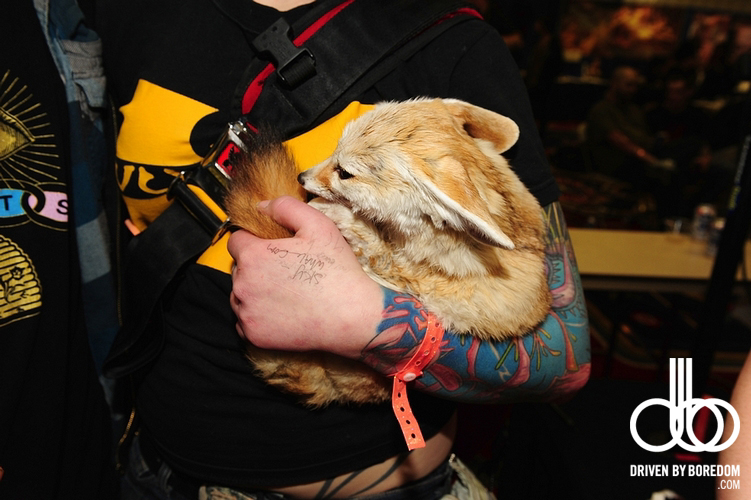 2011-philadelphia-tattoo-convention-1012.JPG