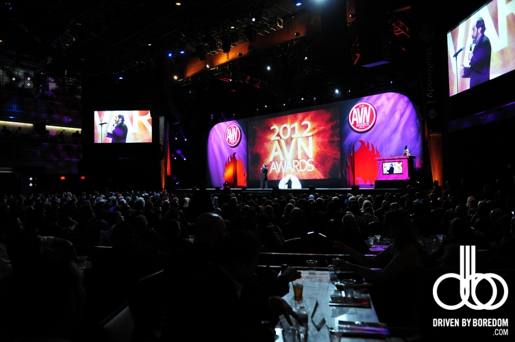 2012-AVN-Awards-14.JPG