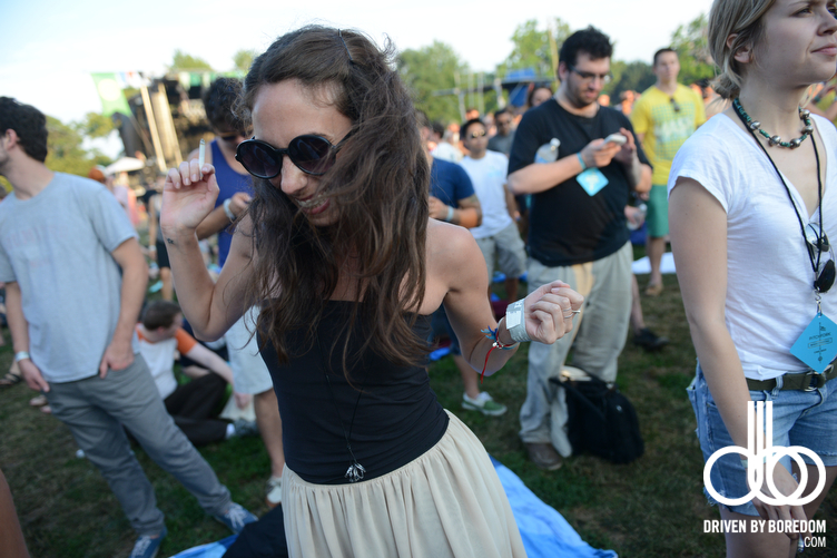 pitchfork-fest-136.JPG