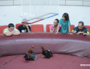 cockfighting-puerto-rico-315