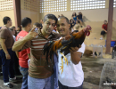 cockfighting-puerto-rico-372