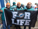 dolphins-vs-greenbay-21