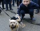 halloween-dog-parade-43