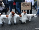 halloween-dog-parade-57