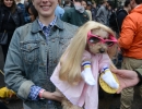 halloween-dog-parade-64