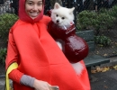 halloween-dog-parade-67