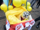 halloween-dog-parade-71